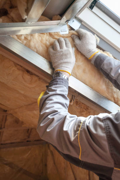 Best Insulation Maintenance and Repair in Lake Darby, OH