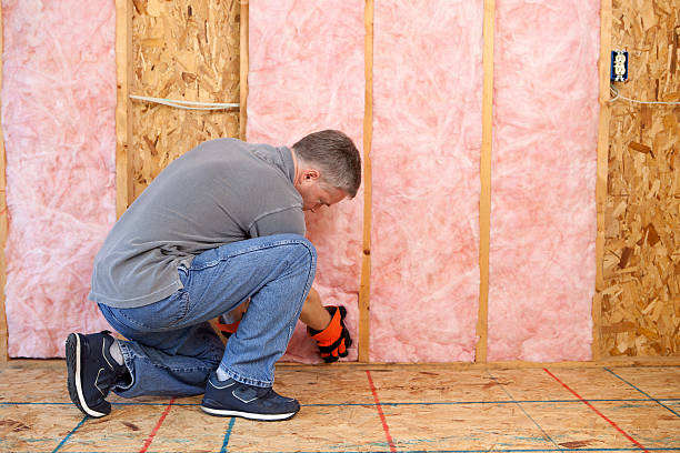 Best Specialized Insulation Services in Lake Darby, OH