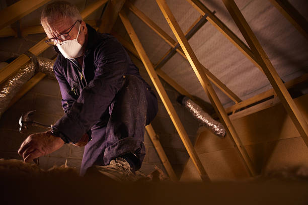 Best Commercial Insulation in Lake Darby, OH
