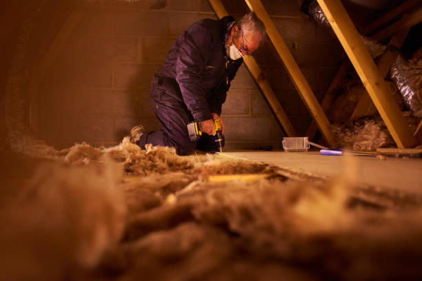 Best Geographic-Specific Insulation Services in Lake Darby, OH