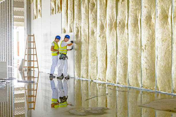Best Blown-in Insulation in Lake Darby, OH
